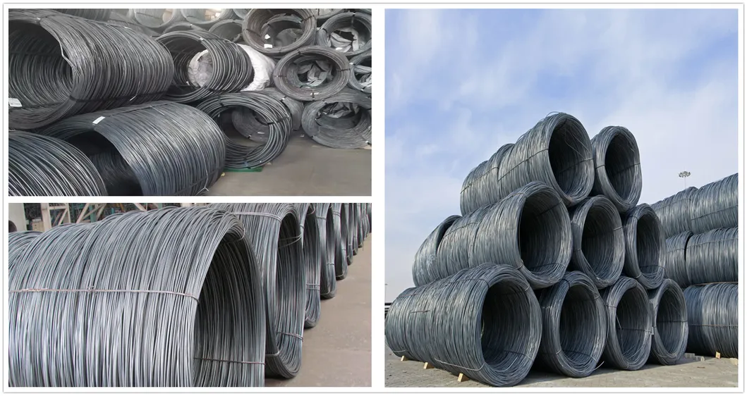 Q195 Q215 Q235 Steel Wire Rod Coil Galvanized Wire Rod For Construction 3